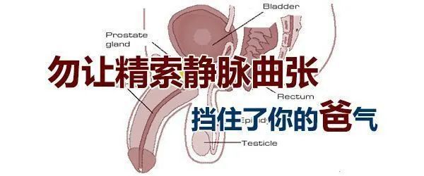 下载.jpg